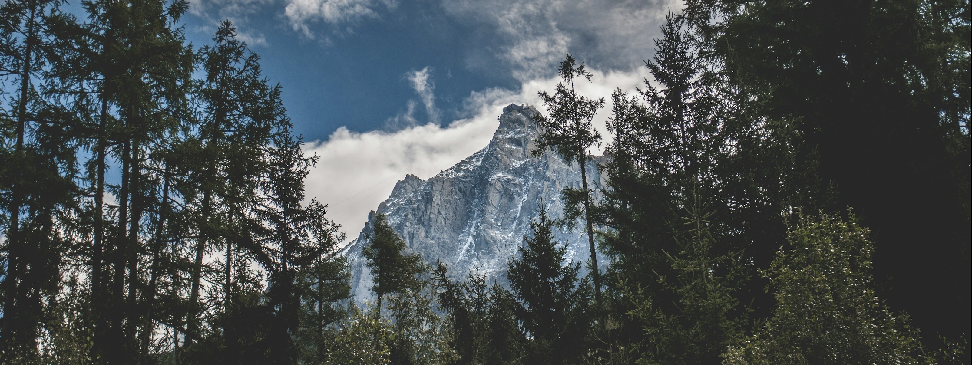 Arolle Alpine Pine Landscape — Swiss Alps